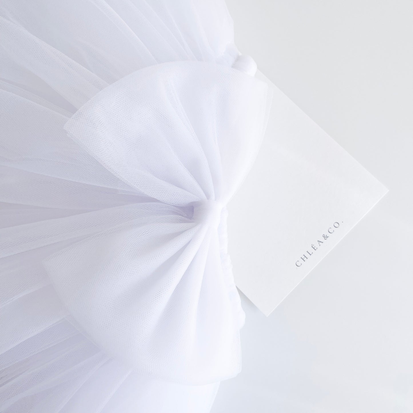Tutu Tulle Skirt With Bow