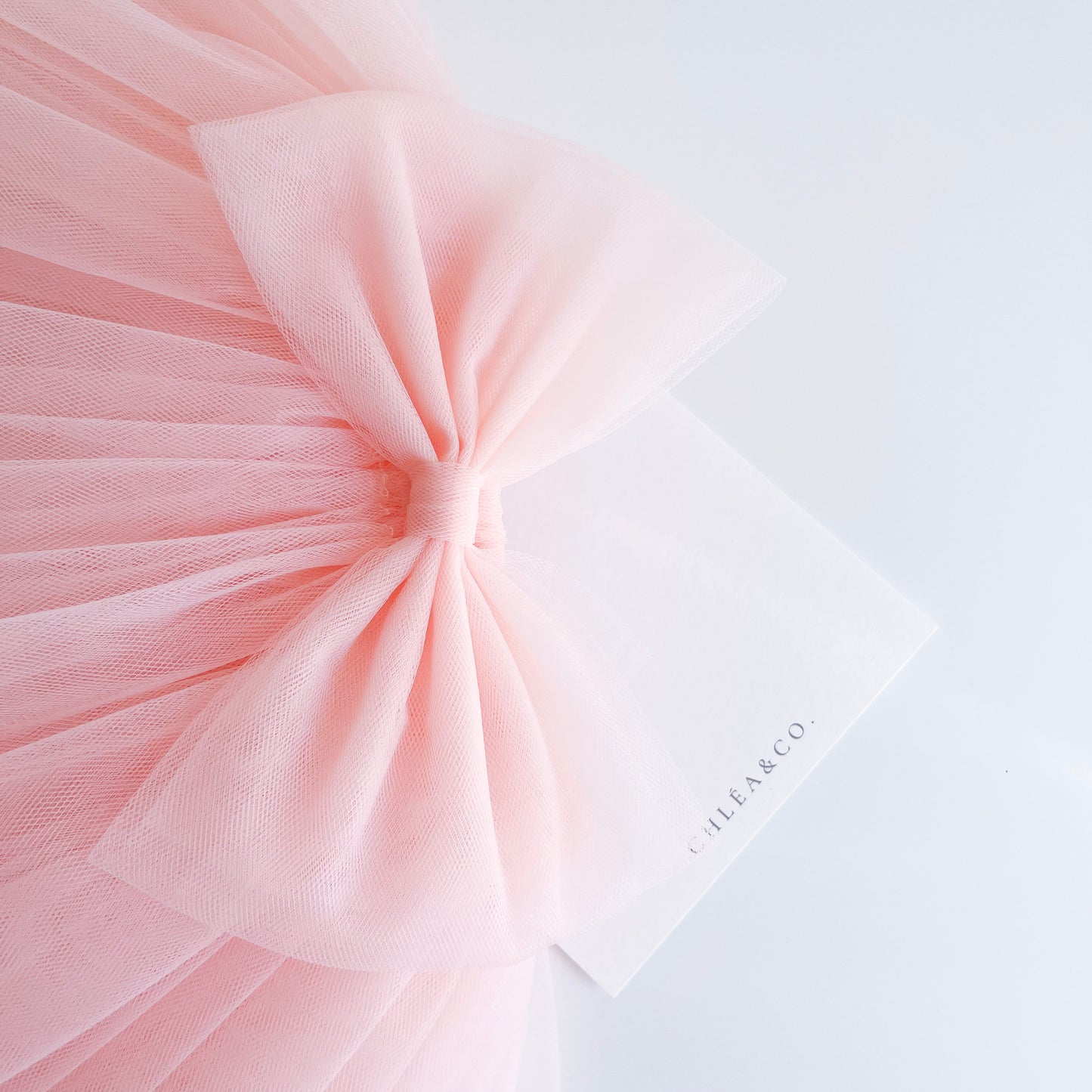 Tutu Tulle Skirt With Bow