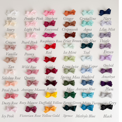 Set of 2 Petite Bows