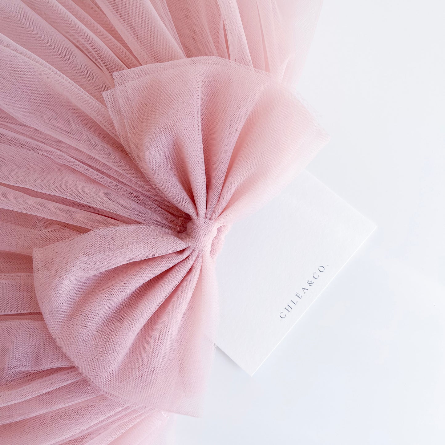 Tutu Tulle Skirt With Bow